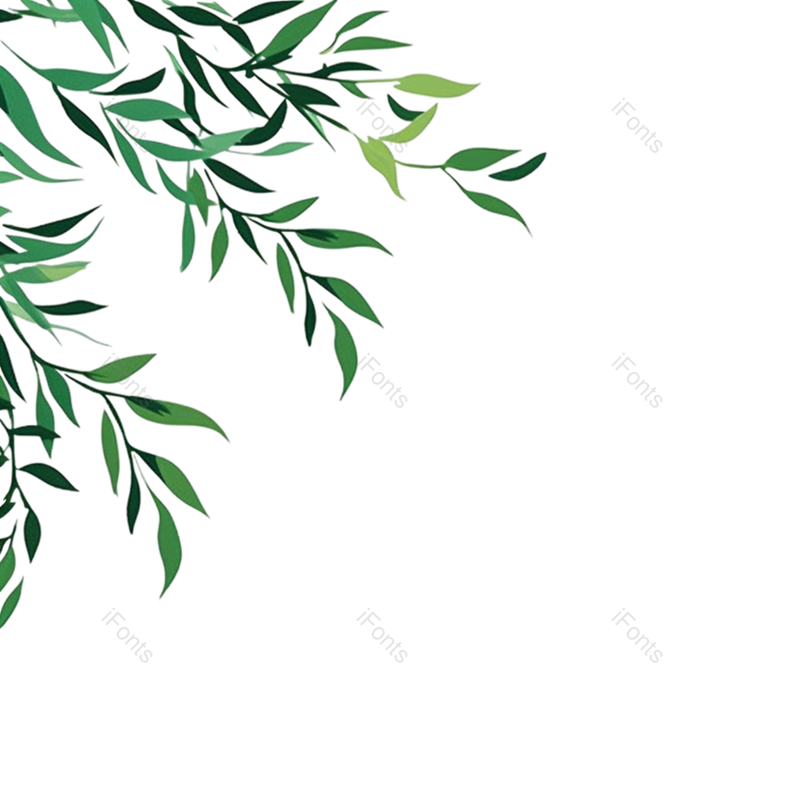 叶子图片,插图元素,装饰PNG,插画免抠素材
